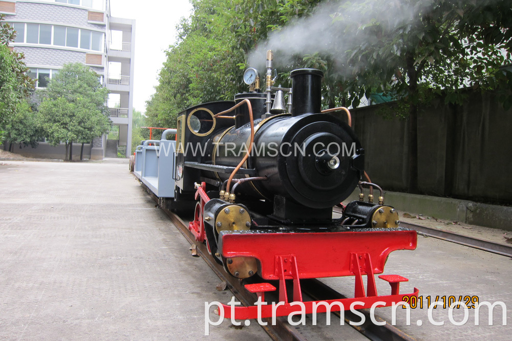 Mini Steam Locomotive 04 Jpg